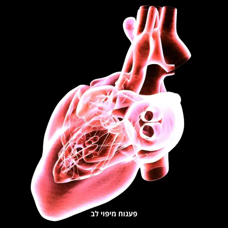 פענוח מיפוי לב ב-BMC מדיקל